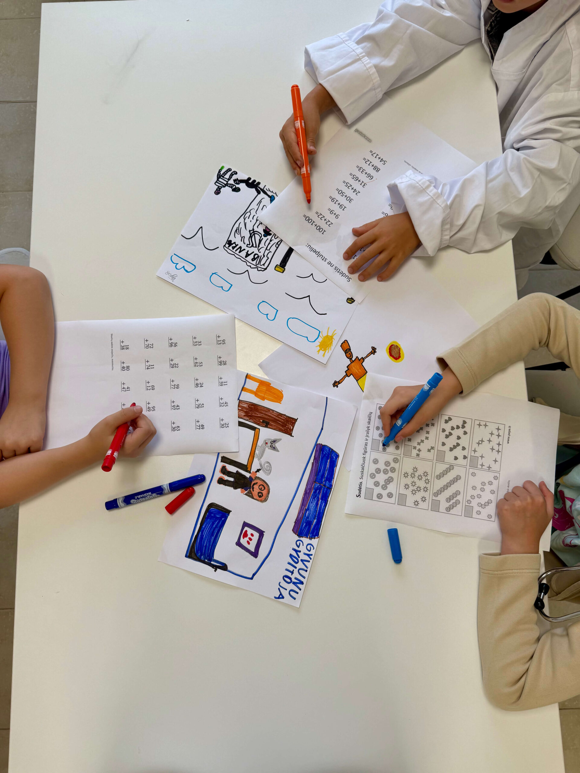 Virtuali matematikos mokykla stovykla
