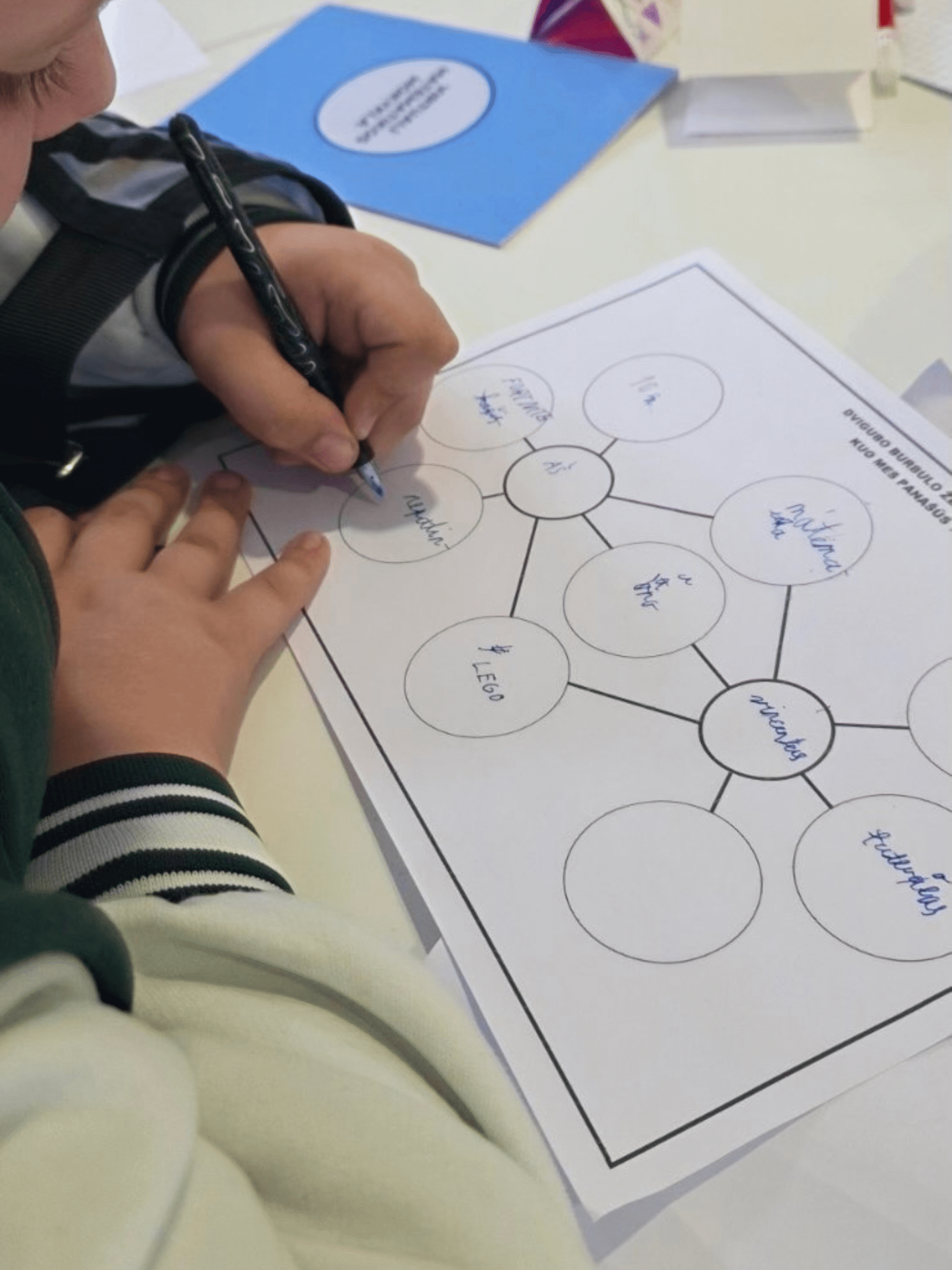 stovykla skaiciu karalyste